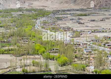Schöne Landschaft mit Flussdelta, Tibetischen Gebäuden und grünen Bäumen in Ladakh, Kaschmir, Blick vom Kloster Thiksey oder Thiksey Gompa. Stockfoto