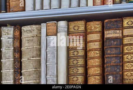 Absolut beeindruckend - die weltgrößte Klosterbibliothek - in Admont Abtei, Aistria Stockfoto