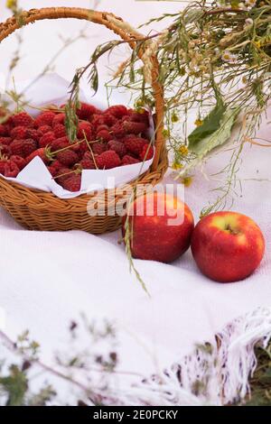 himbeere in einem Korb und zwei Äpfel auf einer Tischdecke Im Gras Stockfoto