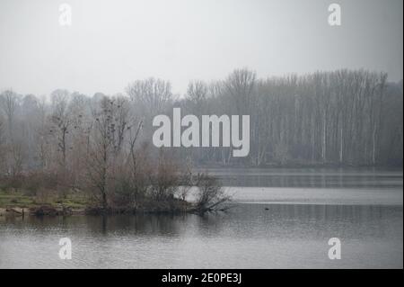 Xanten, Deutschland. Januar 2021. Leichter Nebel liegt über der Auenlandschaft Bislicher Insel bei Xanten am Niederrhein. Quelle: Henning Kaiser/dpa/Alamy Live News Stockfoto