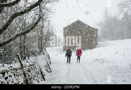 Downham, Clitheroe, Lancashire, Großbritannien. Januar 2021. Ein Schneesturm auf Pendle Hill in der Nähe von Downham, Clitheroe, Lancashire überrascht Menschen Rodeln und Wanderer . Kredit: John Eveson/Alamy Live Nachrichten Stockfoto