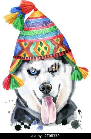 Niedlicher Hund in einem chullo Hut. Hund T-Shirt Grafiken. Aquarell Husky Stockfoto