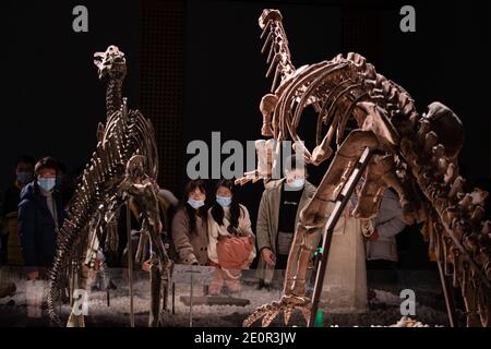 Nanjing, Chinas Provinz Jiangsu. Januar 2021. Während der Neujahrsfeiertage in Nanjing, der ostchinesischen Provinz Jiangsu, sehen die Menschen Dinosaurier-Fossilien im Nanjing Museum, 2. Januar 2021. Kredit: Su Yang/Xinhua/Alamy Live Nachrichten Stockfoto