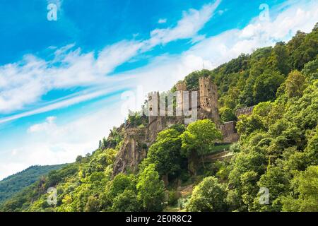 Romantische Burgen im Rheintal ist ein Weinanbaugebiet in einem schönen Sommertag, Deutschland Stockfoto