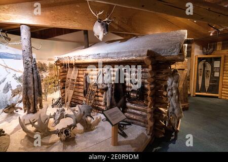 Ausstellung einer Pelztrapper-Hütte im George Johnston Museum auf dem Alaska Highway in Teslin, Yukon, Kanada. Stockfoto