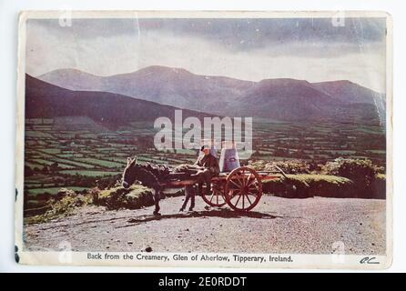 Alte Postkarte, die einen Jungen auf einem Wagen mit Milchkännern zeigt, Tipperary, Irland. Veröffentlicht in 1962. Stockfoto