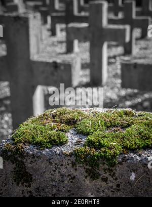 Grünes Moos auf einem Steinkreuz auf einem Friedhof. Stockfoto