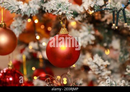 Eine rote Weihnachtsdekoration Ornament Kugel auf einem schneebedeckten Weihnachtsbaum, Feiertage Konzept Stockfoto