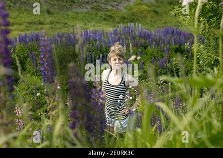 Junge schöne Frau in gestreiften Bluse posiert auf dem Feld der rosa, lila, blau, lila und violetten Lupinen Stockfoto