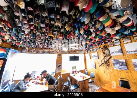 Einige der mehr als 11,000 Hüte, die in der Toad River Lodge am Alaska Highway in Toad River, British Columbia, Kanada, ausgestellt sind. Stockfoto