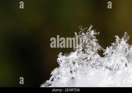 Klare Schneekristalle Detail mit grünem Hintergrund große Ansicht Stockfoto