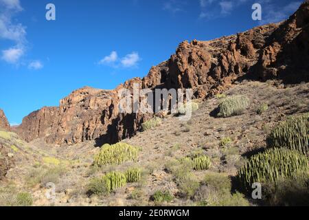 Gran Canaria, landscapes along the hiking route around the ravive Barranco Hondo, The Deep Ravine at the southern part of the  island, full of caves a Stock Photo