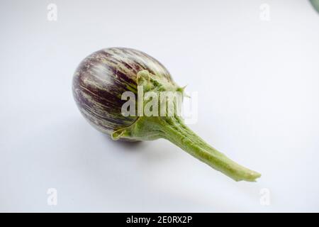 Indisches Gemüse Brinjal Aubergine lila und weiß und grün. Einzelstück isoliert mit weißem Hintergrund. Aubergine mit Stiel ist dornig Stockfoto