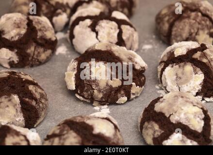 Winter festliches Backen - Schokoladenkekse mit Puderzucker auf Ein Backblech mit Pergament bedeckt Stockfoto