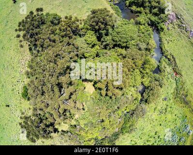 Luftaufnahme von Farm Field, Wald und Bach in Sao Francisco de Paula, Rio Grande do Sul, Brasilien Stockfoto