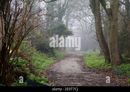 London, Großbritannien. Dezember 2020. Blick auf den Finsbury Park bei dichtem Nebel in London. Kredit: Dinendra Haria/SOPA Images/ZUMA Wire/Alamy Live Nachrichten Stockfoto