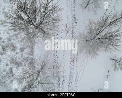 Jan 2 2021 London Ontairo Kanada. Fußspuren in Parkantenne. Luke Durda/Alamy Stockfoto