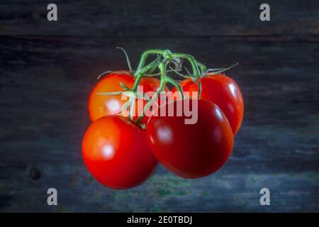 Vier Shinny Lebendige Rote Tomaten Levitating Infront Hintergrund. Unsichtbare Schatten.Art von Magie. Stockfoto