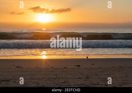 Eine helle untergehende Sonne in einem orangefarbenen Himmel erhellt Ozeanwellen von hinten, während sie auf einen Sandstrand stürzen. Stockfoto