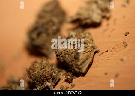 Medizinische Marihuana pharmazeutische Verwendung cbd super Zitrone Dunst Nahaufnahme moderne hochwertige Drucke. Stockfoto