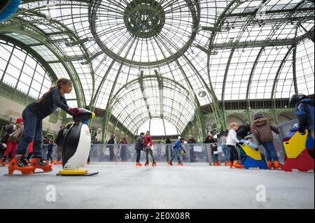 Besucher Schlittschuh auf einer riesigen Eisbahn, die am 12. Dezember 2012 in der glasüberdachten zentralen Halle des Grand Palais in Paris, Frankreich, stattfindet. Die Eisbahn, die größte Eisbahn, die jemals in Frankreich geschaffen wurde, ist 1,800 Quadratmeter groß und kann 1000 Personen gleichzeitig empfangen. Foto von Christophe Guibbaud/ABACAPRESS.COM. Stockfoto