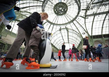 Besucher Schlittschuh auf einer riesigen Eisbahn, die am 12. Dezember 2012 in der glasüberdachten zentralen Halle des Grand Palais in Paris, Frankreich, stattfindet. Die Eisbahn, die größte Eisbahn, die jemals in Frankreich geschaffen wurde, ist 1,800 Quadratmeter groß und kann 1000 Personen gleichzeitig empfangen. Foto von Christophe Guibbaud/ABACAPRESS.COM. Stockfoto