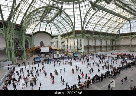 Besucher Schlittschuh auf einer riesigen Eisbahn, die am 12. Dezember 2012 in der glasüberdachten zentralen Halle des Grand Palais in Paris, Frankreich, stattfindet. Die Eisbahn, die größte Eisbahn, die jemals in Frankreich geschaffen wurde, ist 1,800 Quadratmeter groß und kann 1000 Personen gleichzeitig empfangen. Foto von Christophe Guibbaud/ABACAPRESS.COM. Stockfoto