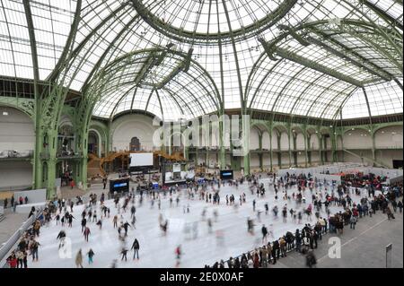 Besucher Schlittschuh auf einer riesigen Eisbahn, die am 12. Dezember 2012 in der glasüberdachten zentralen Halle des Grand Palais in Paris, Frankreich, stattfindet. Die Eisbahn, die größte Eisbahn, die jemals in Frankreich geschaffen wurde, ist 1,800 Quadratmeter groß und kann 1000 Personen gleichzeitig empfangen. Foto von Christophe Guibbaud/ABACAPRESS.COM. Stockfoto