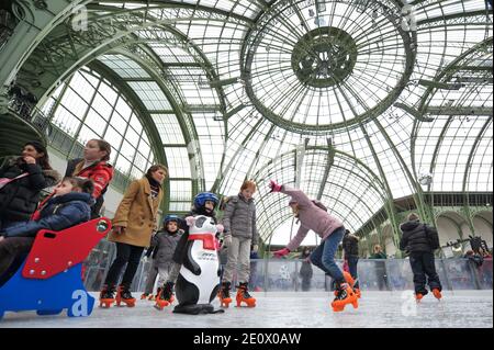 Besucher Schlittschuh auf einer riesigen Eisbahn, die am 12. Dezember 2012 in der glasüberdachten zentralen Halle des Grand Palais in Paris, Frankreich, stattfindet. Die Eisbahn, die größte Eisbahn, die jemals in Frankreich geschaffen wurde, ist 1,800 Quadratmeter groß und kann 1000 Personen gleichzeitig empfangen. Foto von Christophe Guibbaud/ABACAPRESS.COM. Stockfoto