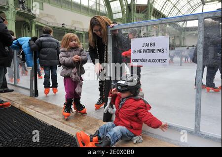 Besucher Schlittschuh auf einer riesigen Eisbahn, die am 12. Dezember 2012 in der glasüberdachten zentralen Halle des Grand Palais in Paris, Frankreich, stattfindet. Die Eisbahn, die größte Eisbahn, die jemals in Frankreich geschaffen wurde, ist 1,800 Quadratmeter groß und kann 1000 Personen gleichzeitig empfangen. Foto von Christophe Guibbaud/ABACAPRESS.COM. Stockfoto
