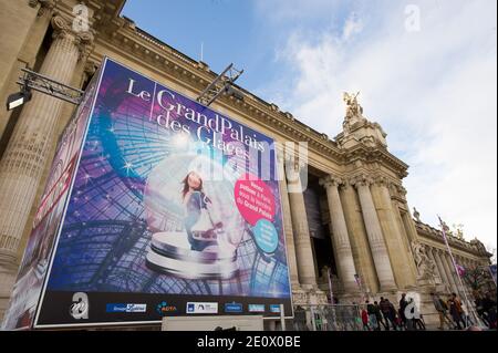 Besucher Schlittschuh auf einer riesigen Eisbahn, die am 12. Dezember 2012 in der glasüberdachten zentralen Halle des Grand Palais in Paris, Frankreich, stattfindet. Die Eisbahn, die größte Eisbahn, die jemals in Frankreich geschaffen wurde, ist 1,800 Quadratmeter groß und kann 1000 Personen gleichzeitig empfangen. Foto von Christophe Guibbaud/ABACAPRESS.COM. Stockfoto