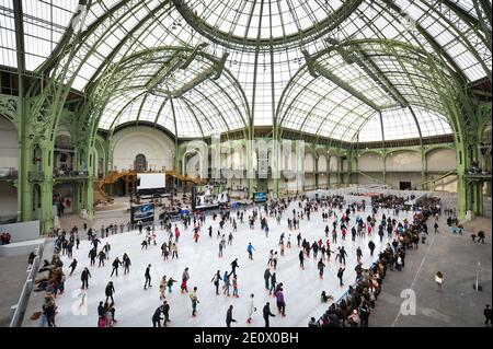 Besucher Schlittschuh auf einer riesigen Eisbahn, die am 12. Dezember 2012 in der glasüberdachten zentralen Halle des Grand Palais in Paris, Frankreich, stattfindet. Die Eisbahn, die größte Eisbahn, die jemals in Frankreich geschaffen wurde, ist 1,800 Quadratmeter groß und kann 1000 Personen gleichzeitig empfangen. Foto von Christophe Guibbaud/ABACAPRESS.COM. Stockfoto