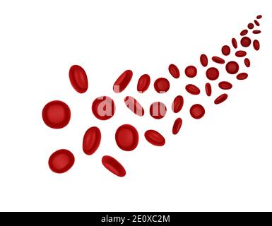 Rote Blutkörperchen, Sauerstofftransport im Körper. Vektor. Biologie Anatomie Wissenschaft. Erythrozyten-Zellen. Rundes realistisches Zellenbild. Stock Vektor