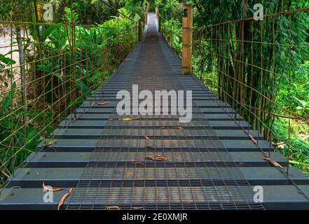 Erhöhter Baldachin Gehweg im Nebelwald von Mindo bei Quito, Ecuador. Stockfoto