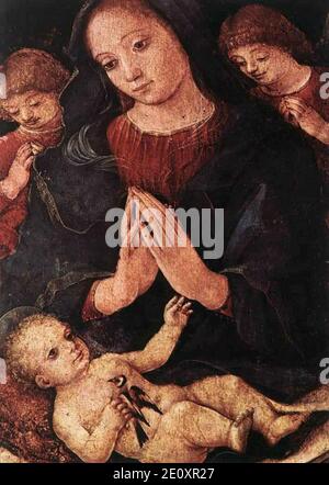 Liberale da Verona Madonna del cardellino. Stockfoto