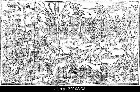 Libro de la monteria, discurso, fol 5, verso, Darstellung von Jagdhunden. Stockfoto