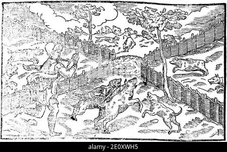 Libro de la monteria, discurso, fol 11, verso, Abbildung 1. Stockfoto