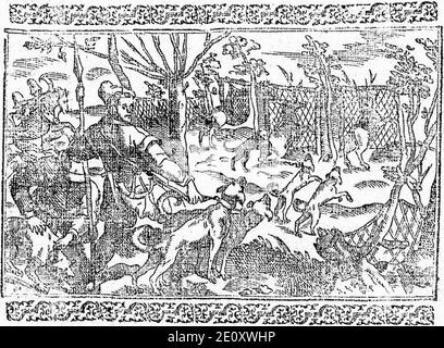 Libro de la monteria, discurso, fol 6, verso, Darstellung von Jagdhunden. Stockfoto