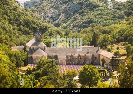 Notre-dame De Senanque Abbey, Vaucluse, Frankreich. Schöne Landschaft Lavendelfeld und ein altes Kloster Abbaye Notre-dame De Senanque. Stockfoto