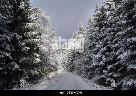 Winter in Krkonoše, Riesengebirge, befindet sich im Norden der Tschechischen Republik. Große Gebiete der Berge sind Nationalparks. Stockfoto