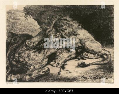 Löwe verschlingt ein Pferd, 1844, von Eugène Delacroix. Lithographie. Stockfoto