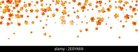 Horizontales Muster hell getrockneten Ahorn Herbst Laub auf weiß isoliert. Grafisches Design Herbst Symbol. Rot orange gelbe Herbstblätter mit sh Stock Vektor