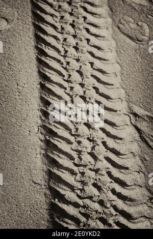 Spuren eines Autos am sandigen Flussufer. Stockfoto