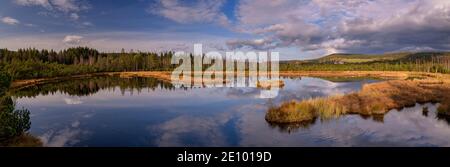 Chalupska Lattenmoor, großer Königspelz mit Moorsee, Sumava Nationalpark, ?umava, Tschechien, Europa Stockfoto