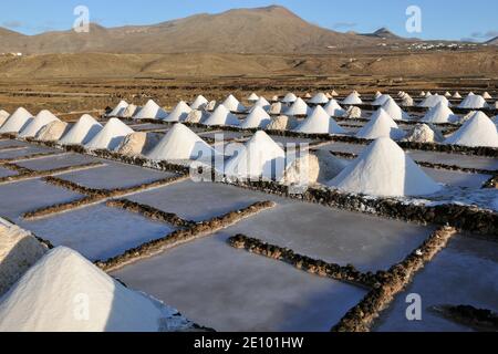 Salzgewinnung in Las Salinas de Janubio, Yaiza, Lanzarote, Kanarische Inseln, Spanien, Europa Stockfoto