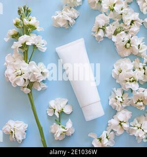 Beauty Spa medizinische Hautpflege und kosmetische Lotion Flasche Creme Verpackung Produkt auf einem hellblauen Hintergrund mit weißen Blumen. Overhead-Ansicht. Blumen Stockfoto