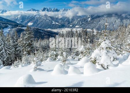 Winterlandschaft, Wald, hinter Stubaital und Kalkkögel, Eulenwiesen, Glinser Berg, Mieders, Innsbruck-Land, Tirol, Österreich, Europa Stockfoto