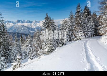 Winterlandschaft, Wald, Spuren von Schneeschuhen, im Hintergrund Kalkkögel, Eulenwiesen, Glinser Berg, Mieders, Innsbruck-Land, Tirol, Österreich, Europa Stockfoto