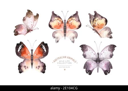 Aquarell bunte Schmetterlinge, isoliert auf weißem Hintergrund. Blau, gelb, rosa und rot Schmetterling Frühling Illustration Stockfoto