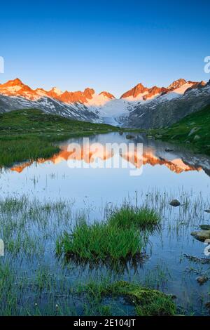 Schweizer Alpen (m) Sommer, Oberaar Gletscher, Oberaarhorn, 3638 m, Finsteraarhorn, 4274m, Berner Oberland, Bern, Schweiz, Europa Stockfoto